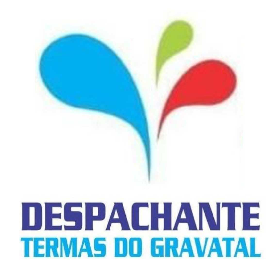 Despachante Termas