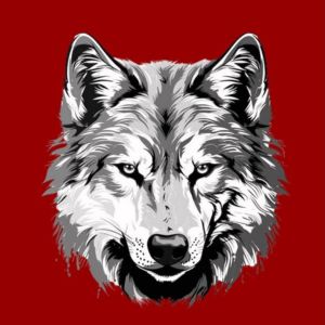 The Wolf Hamburgueria